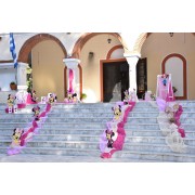 MINNIE πακέτο βάπτισης 480,00€ (στολισμός εκκλησίας , φωτογράφιση και βιντεοσκόπηση ) Νο 71001