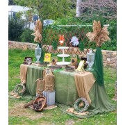 ΖΩΑ ΖΟΥΓΚΛΑΣ ΘΕΜΑ CANDY BAR ΓΙΑ ΒΑΠΤΙΣΗ CAN-1505251 450.00€!!!