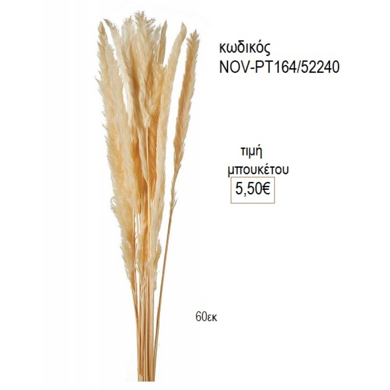 ΑΠΟΞΗΡΑΜΕΝΟ PAMPAS ΜΠΟΥΚΕΤΟ ΧΡΩΜΑ ΕΚΡΟΥ NOV-ΡΤ164/52240 5.50€!!!
