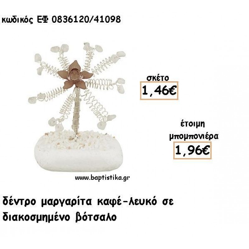ΜΑΡΓΑΡΙΤΑ ΔΕΝΤΡΟ ΚΑΦΕ-ΛΕΥΚΟ ΣΕ ΒΟΤΣΑΛΟ ΓΙΑ ΜΠΟΜΠΟΝΙΕΡΕΣ - ΔΩΡΟ ΕΦ ΚΛ0836120/41098 ΜΑΡΓΑΡΙΤΑ ΔΕΝΤΡΟ ΚΑΦΕ-ΛΕΥΚΟ ΣΕ ΒΟΤΣΑΛΟ ΓΙΑ ΜΠΟΜΠΟΝΙΕΡΕΣ - ΔΩΡΟ ΕΦ ΚΛ0836120/41098