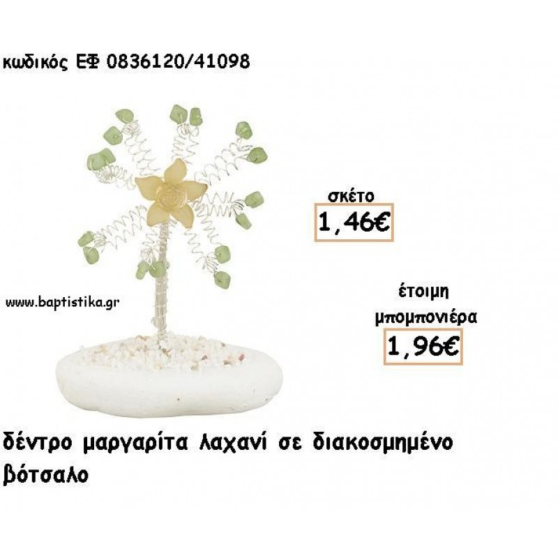 ΜΑΡΓΑΡΙΤΑ ΔΕΝΤΡΟ ΛΑΧΑΝΙ ΣΕ ΒΟΤΣΑΛΟ ΓΙΑ ΜΠΟΜΠΟΝΙΕΡΕΣ - ΔΩΡΟ ΕΦ Λ0836120/41098