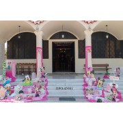 MINNIE πακέτο βάπτισης 480,00€ (στολισμός εκκλησίας , φωτογράφιση και βιντεοσκόπηση ) Νο 71002