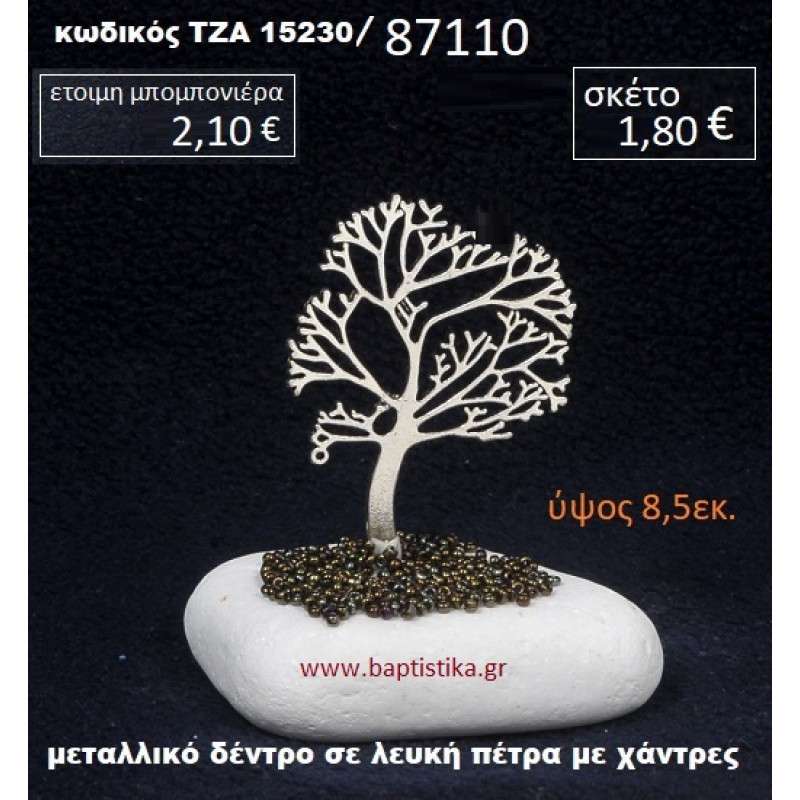 ΔΕΝΤΡΟ ΠΑΝΩ ΣΕ ΒΡΑΧΟ ΘΑΛΑΣΣΗΣ ΜΕ ΒΟΤΣΑΛΑΚΙΑ  ΤΖΑ-15230/87110