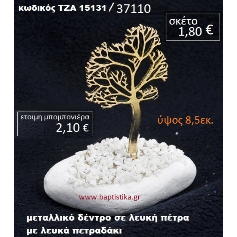 ΔΕΝΤΡΟ ΠΑΝΩ ΣΕ ΒΡΑΧΟ ΘΑΛΑΣΣΗΣ ΜΕ ΑΜΜΟ ΚΑΙ ΒΟΤΣΑΛΑΚΙΑ ΤΖΑ-15131/37110 ΔΕΝΤΡΟ ΠΑΝΩ ΣΕ ΒΡΑΧΟ ΘΑΛΑΣΣΗΣ ΜΕ ΑΜΜΟ ΚΑΙ ΒΟΤΣΑΛΑΚΙΑ ΤΖΑ-15131/37110