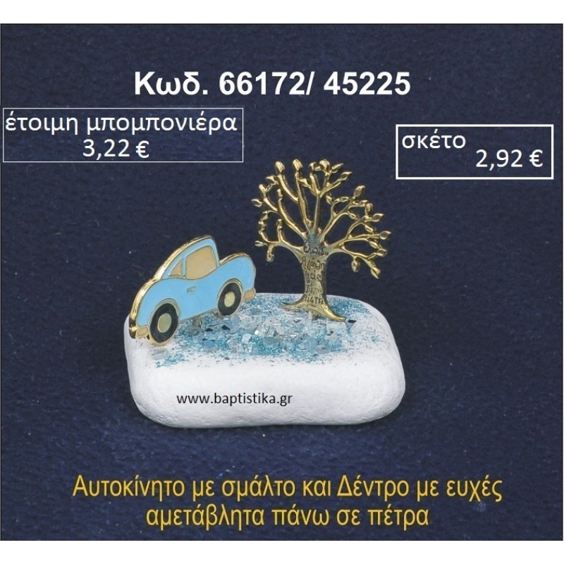ΔΕΝΤΡΟ ΚΑΙ ΑΥΤΟΚΙΝΗΤΟ ΜΕΤΑΛΛΙΚΟ ΠΑΝΩ ΣΕ ΒΡΑΧΑΚΙ 66172/45225